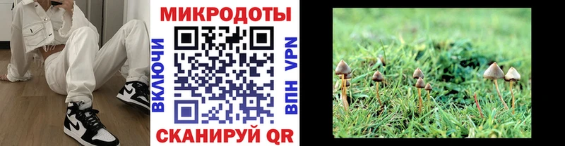 купить наркотик Выборг Галлюциногенные грибы мухоморы